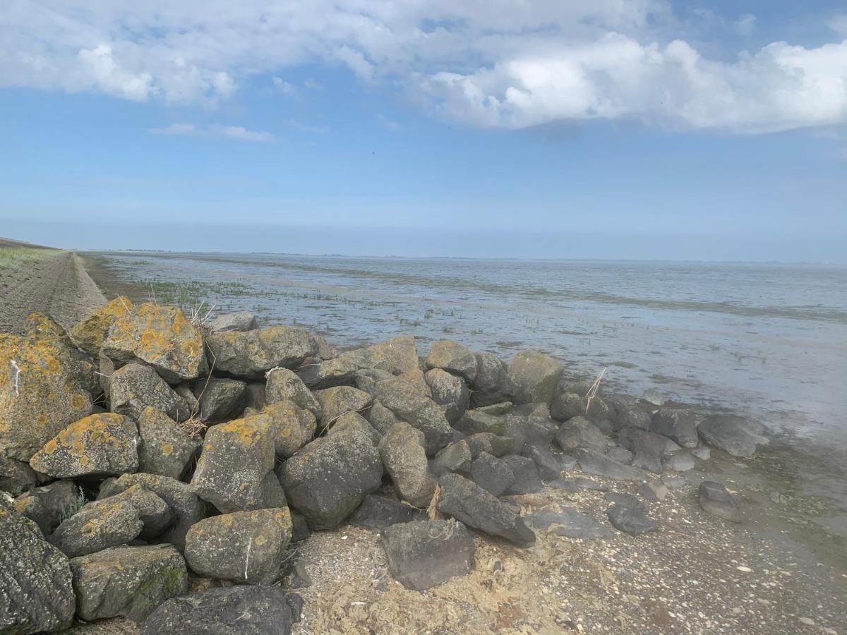 Chalet Seemowe Direkt Am Wattenmeer Aan De Waddenzee Nordsee 600 Meter Zum Badestrand, Angeln Apartment Westerland Exterior photo